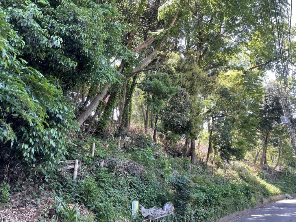 昨日は相続税案件の土地調査でした。