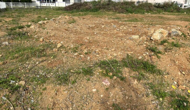 地盤改良の必要性を確認し、土地評価を10％減額した事例