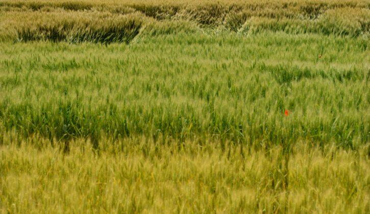 広大地(注)の再評価により、720万円の相続税還付に成功した事例